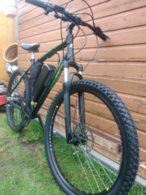 muddyfox cruise